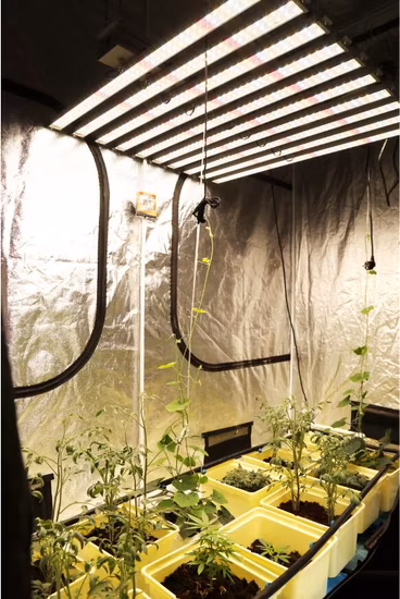 50 W/75 W/80 W/100 W/150 W/300 W/400 W/450 W/500 W/600 W/650 W/700 W/800 W/900 W/1000 W/1200 W/1500 W COB/SMD LED-Wachstumslicht