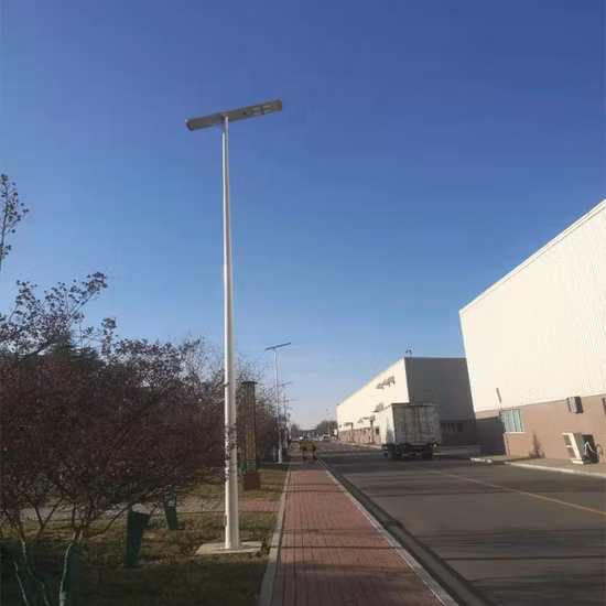 ISO9001-Fabrik für 10 W, 30 W, 40 W, 60 W, 100 W, 120 W, IP66, geteilte solarbetriebene LED-Straßenlaternen