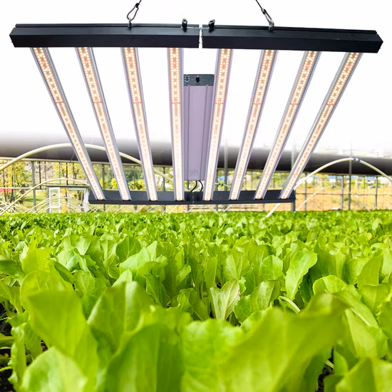 Redfarm Hydroponiksystem Indoor-Anbausystem Kommerzielle LED-Wachstumslichter 1000-W-Bud-Booster-Licht